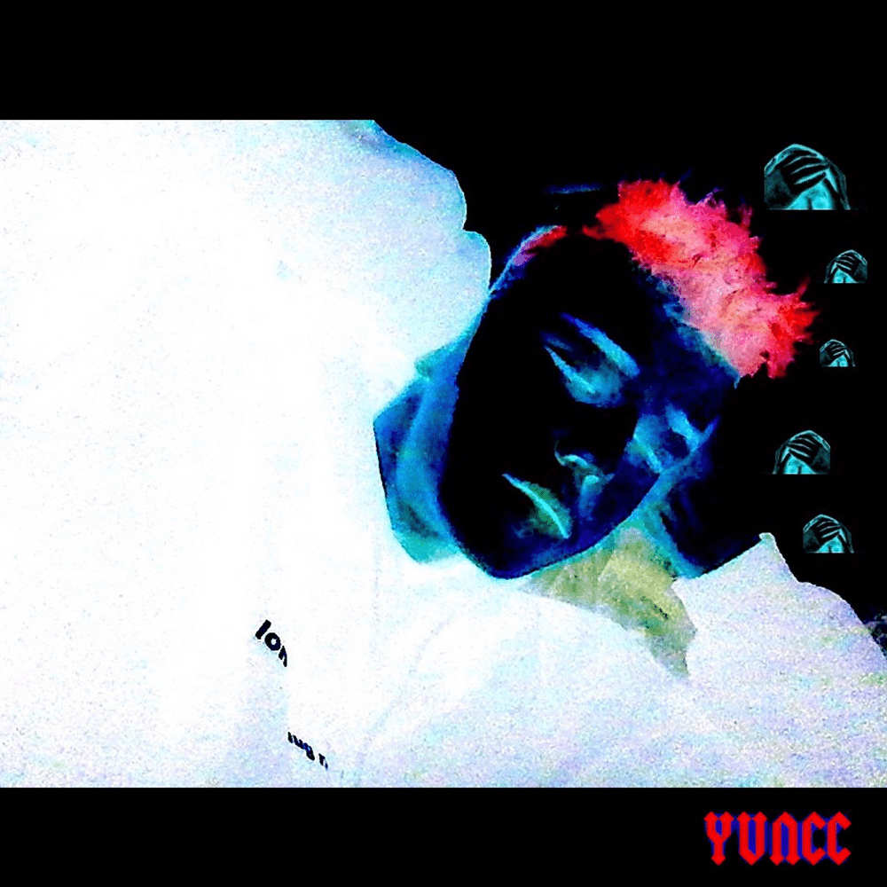 Cover image for SCATTERBRAIN