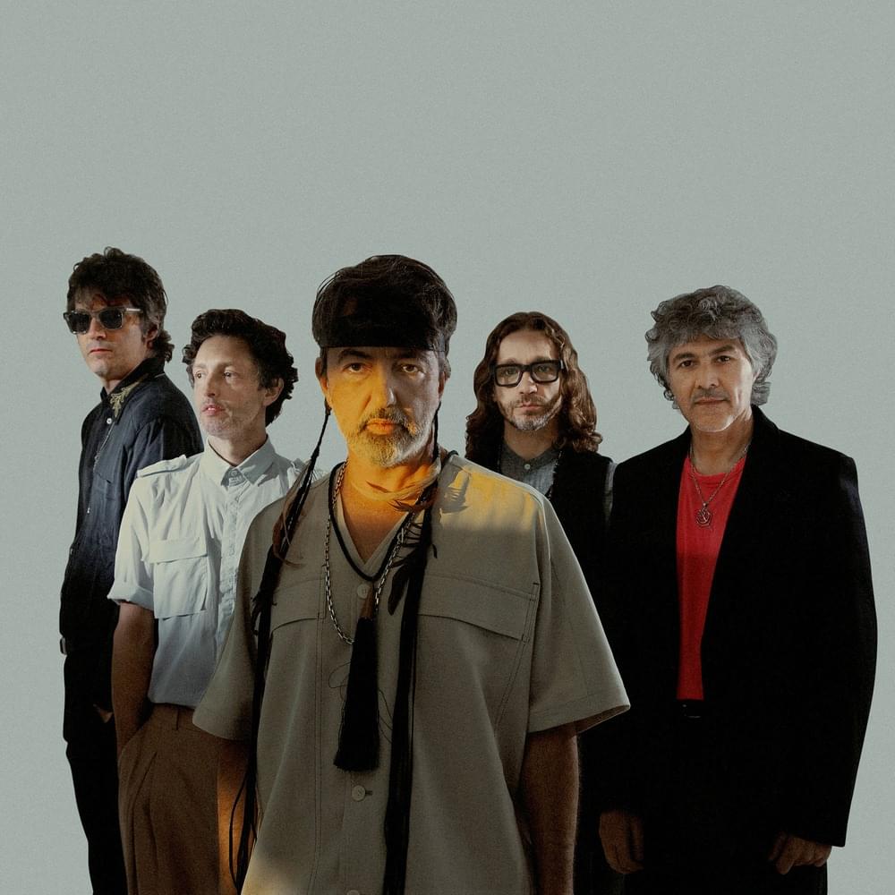 Cover image for Babasónicos