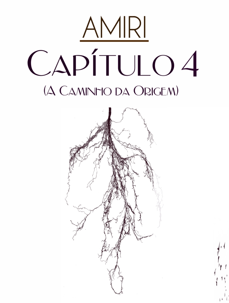 Cover image for Capítulo 4: A Caminho da Origem