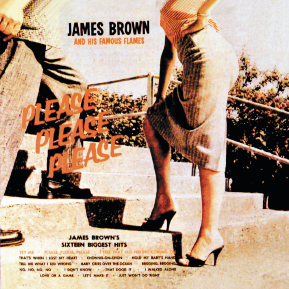 Album cover art for "Tell Me What I Did Wrong" by James Brown