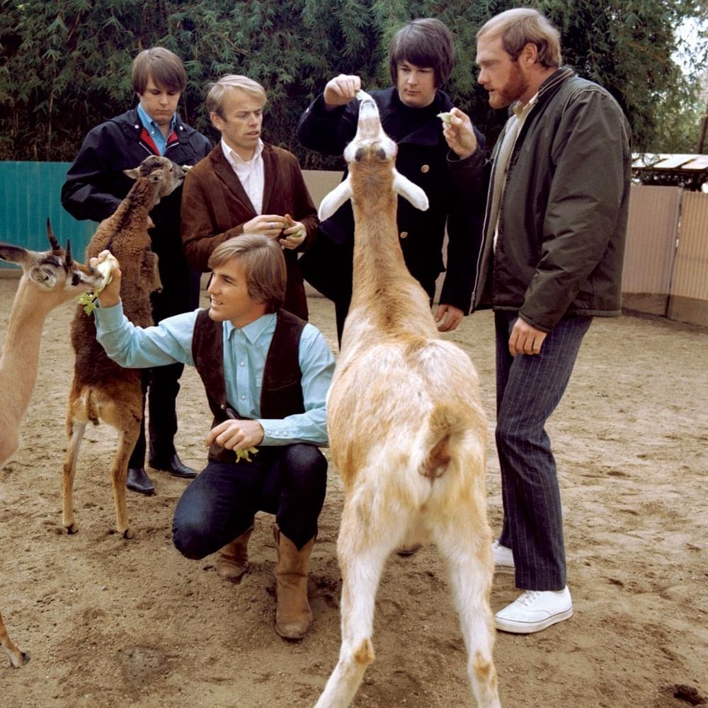 The Beach Boys Profile Picture Photo of The Beach Boys