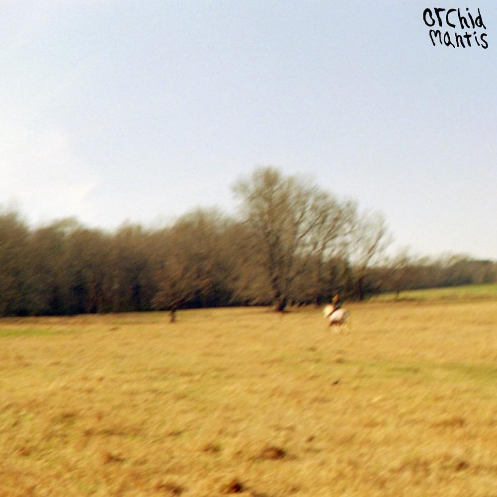 Album cover art for "no one else around" by Orchid Mantis