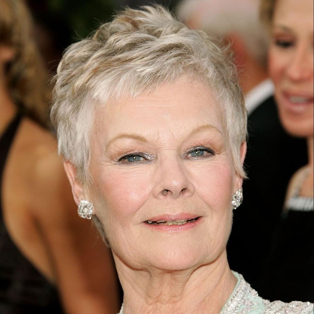 Notes On A Scandal - I Risked Everything For You by Judi Dench