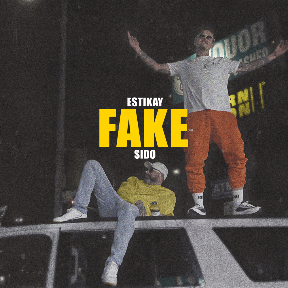 Album cover art for "Fake" by Estikay