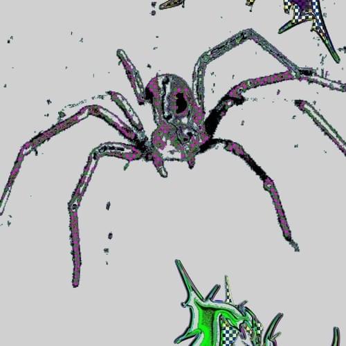 Cover image for SPIDER
