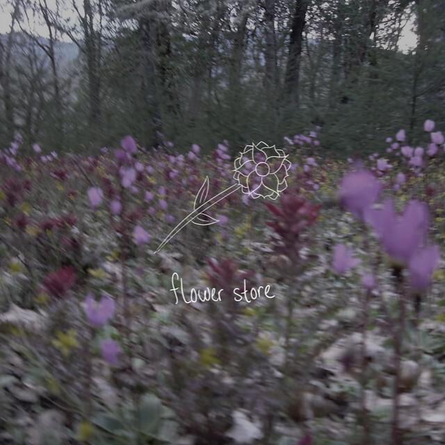 Flower store by Tea