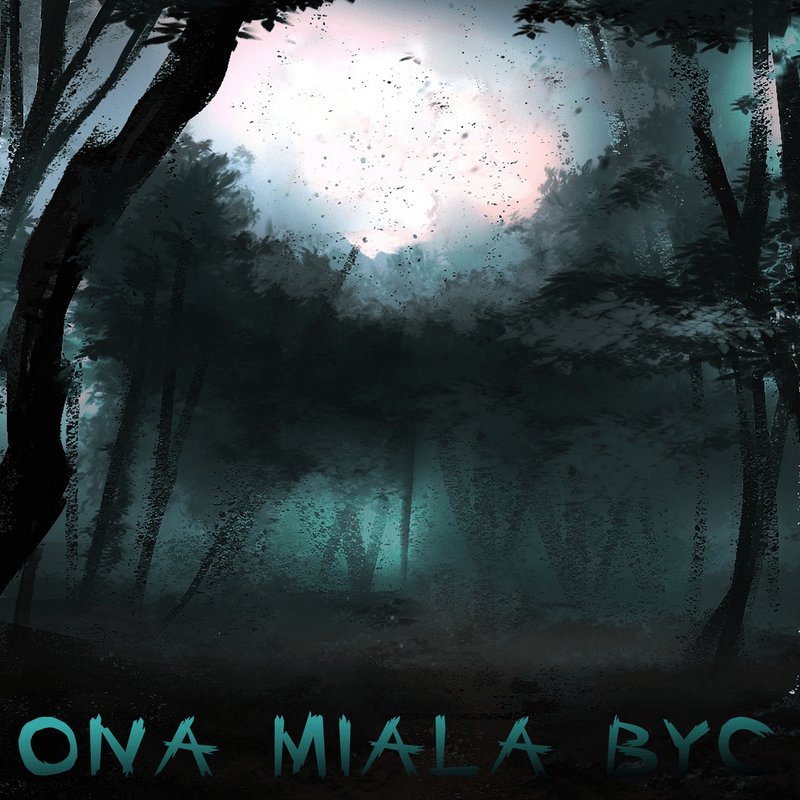 Album cover art for "ONA MIAŁA BYĆ" by BAVSKAR & PIGUŁA & Hirmo