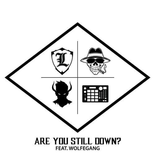 Album cover art for "Are You Still Down?" by Bukshot & Wolfegang