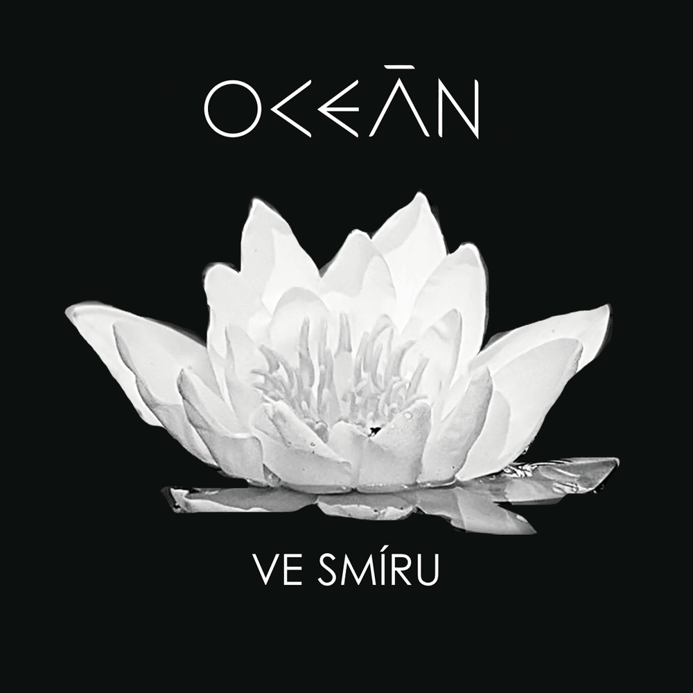 Cover image for Ve Smíru