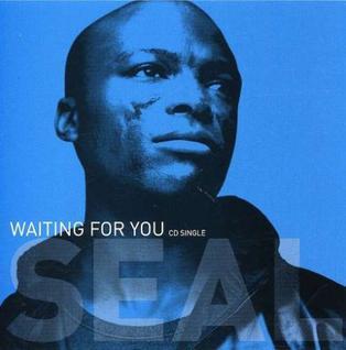 Album cover art for "Waiting for You" by Seal