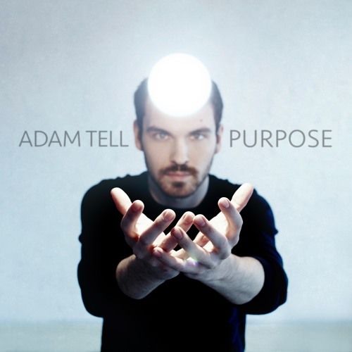 Plant The Beginning by Adam Tell