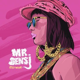 Cover image for Mr. Sensi