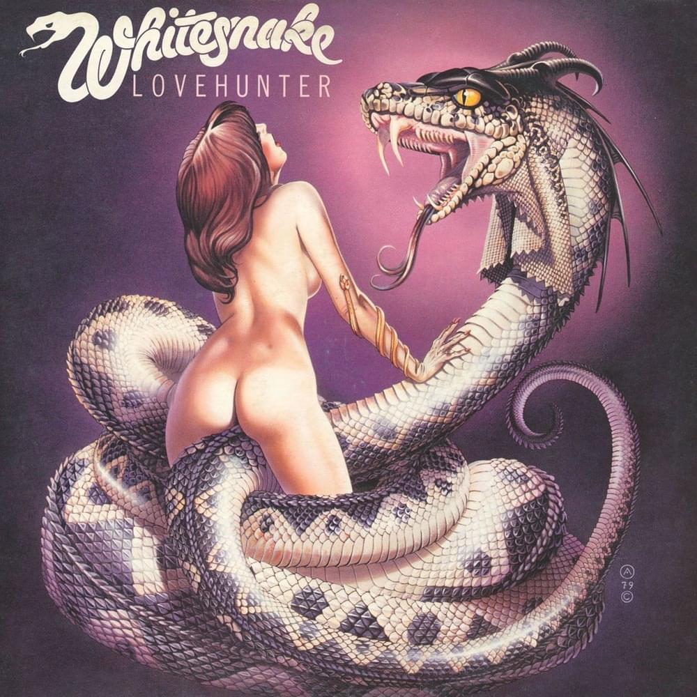 Album cover art for "We Wish You Well" by Whitesnake