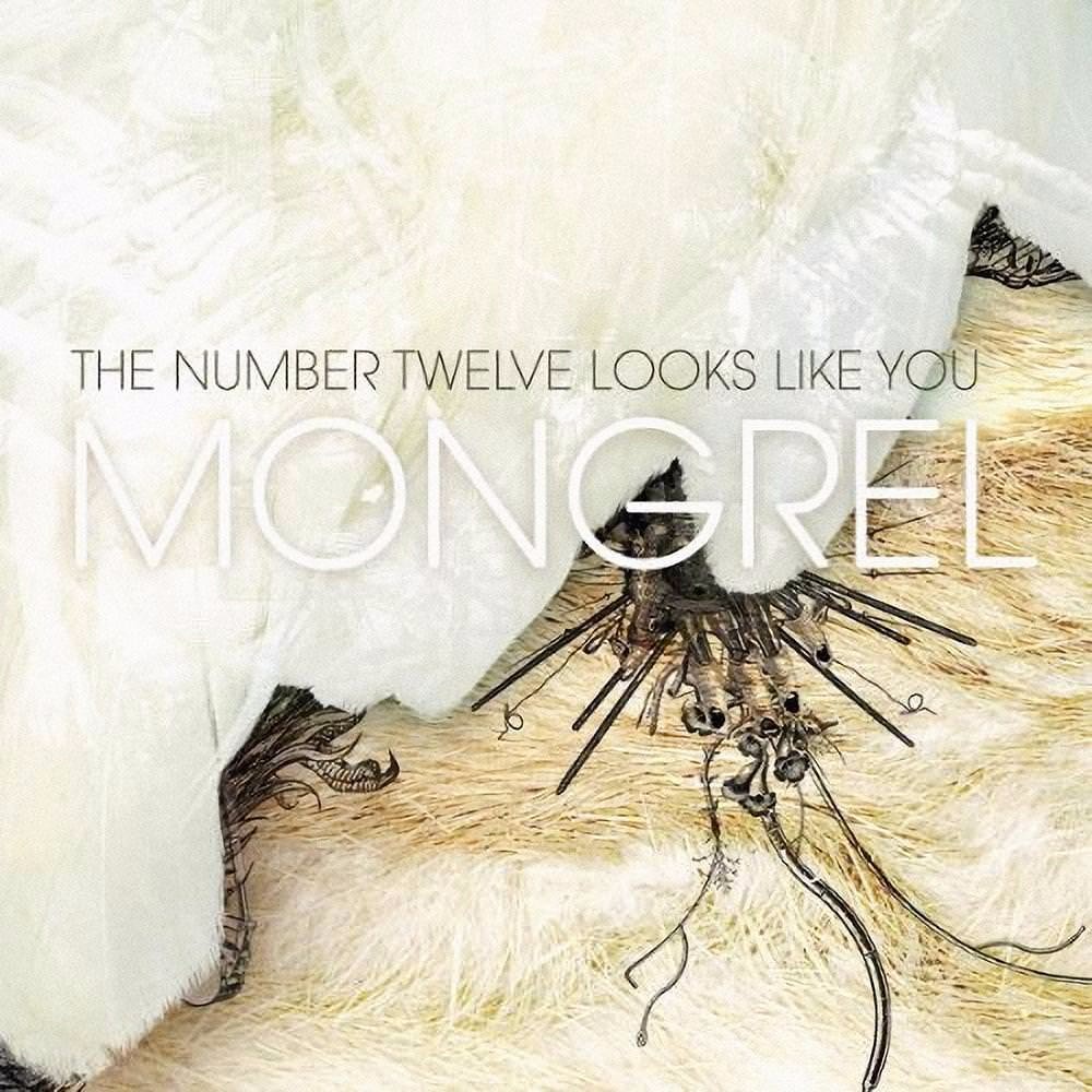 Album cover art for "Sleeping with the Fishes, See?" by The Number Twelve Looks Like You
