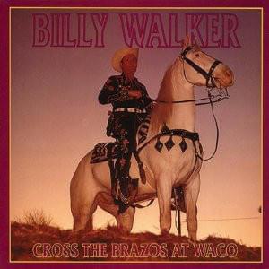 Album cover art for "Especially For Fools" by Billy Walker