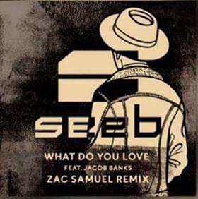 Album cover art for "What Do You Love (Zac Samuel Remix)" by Seeb & Jacob Banks