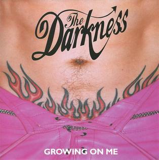 Album cover art for "How Dare You Call This Love?" by The Darkness