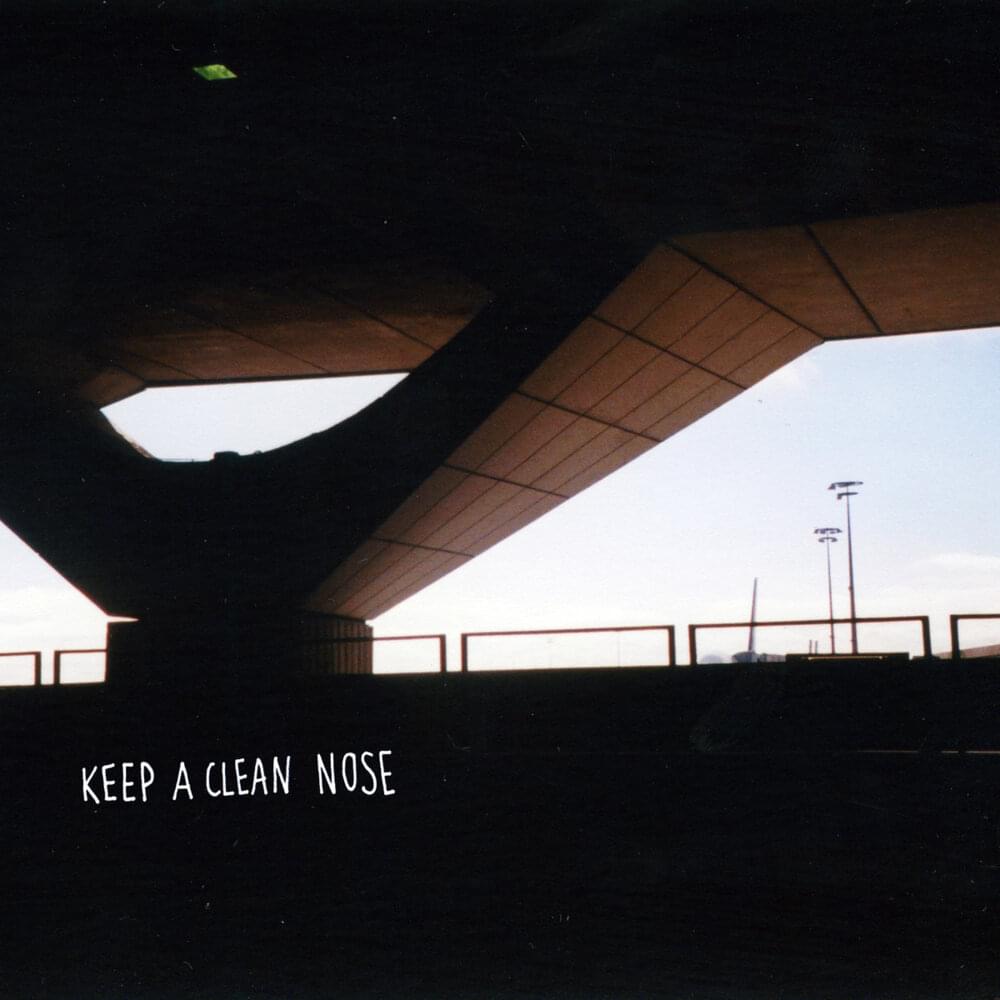 Album cover art for "Keep a Clean Nose" by Spacey Jane
