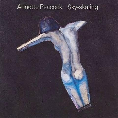 Cover image for Sky-skating