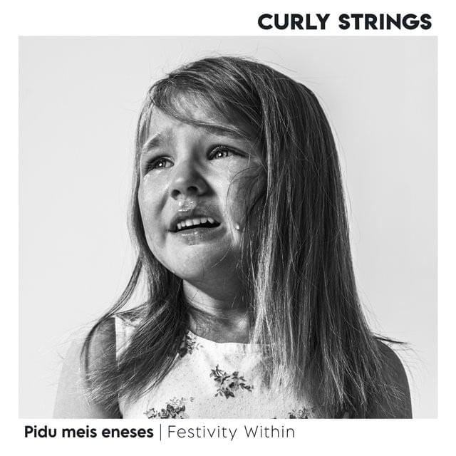 Cover image for Pidu meis eneses
