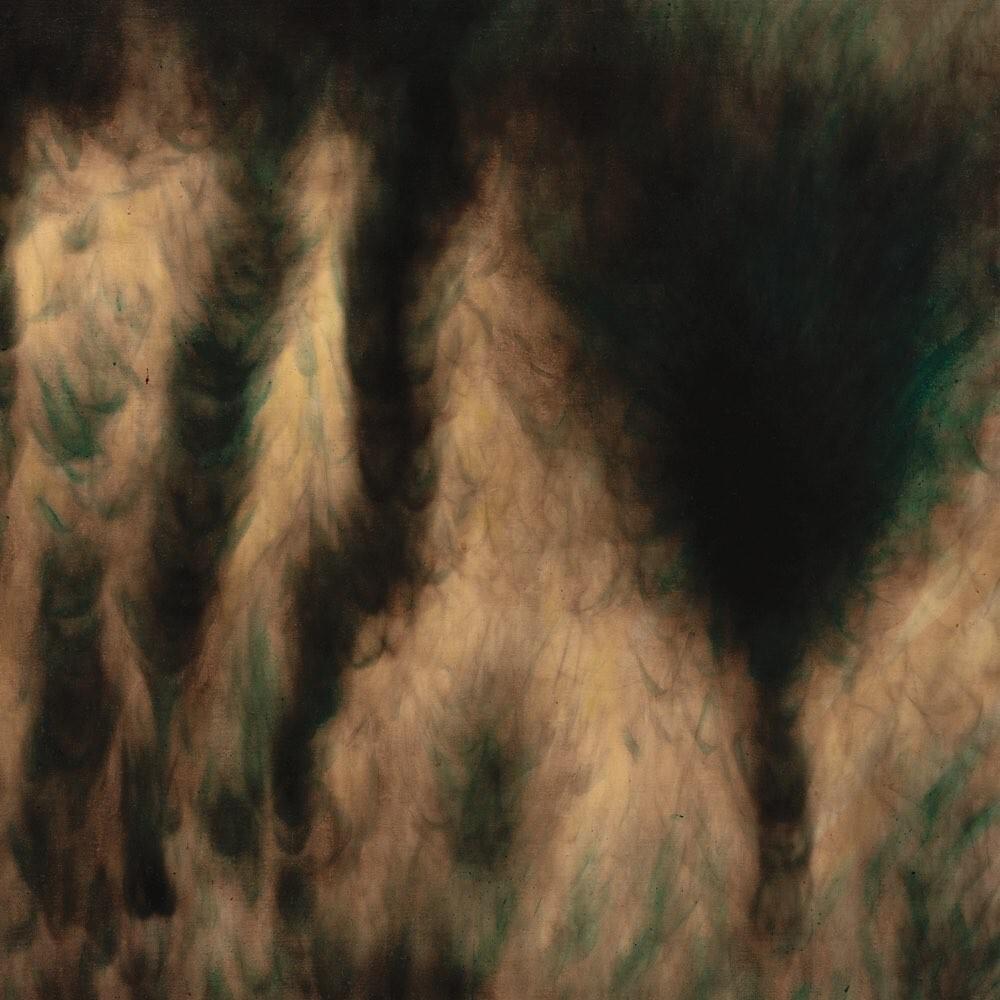 Silent Spring by William Basinski