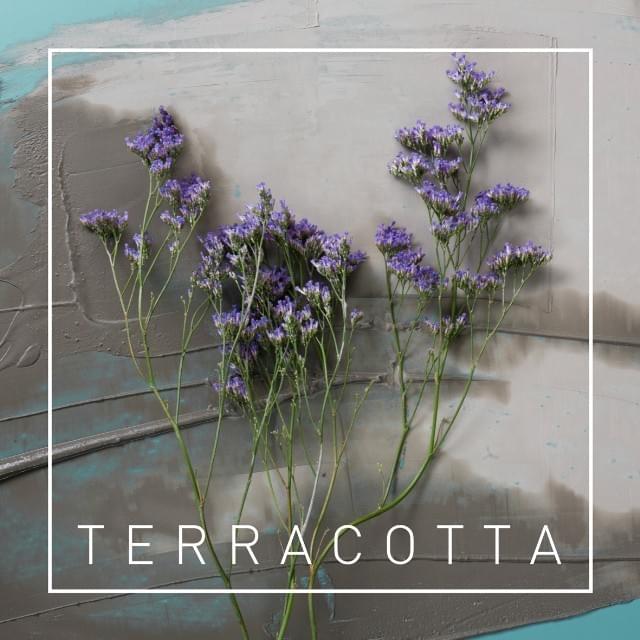 Cover image for Terracotta