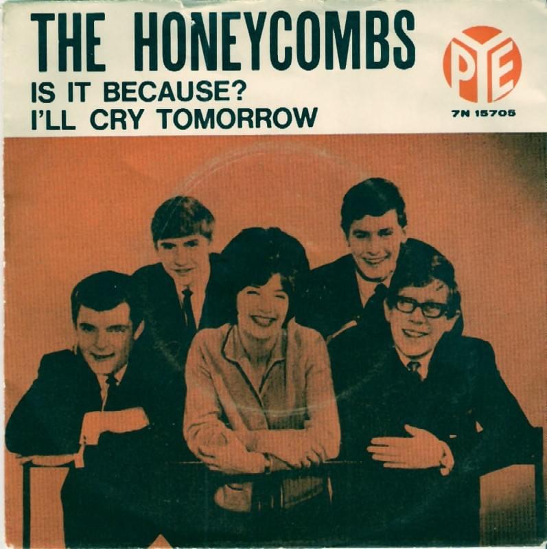 Album cover art for "Is It Because?" by The Honeycombs