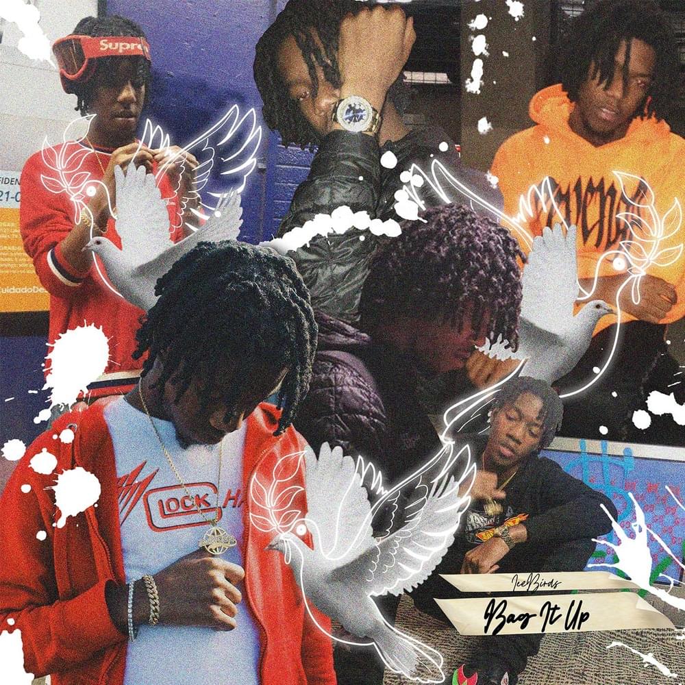 Album cover art for "Bag It Up" by IceBirds