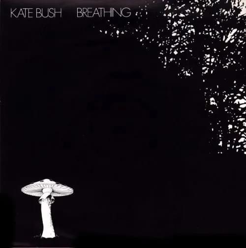 Album cover art for "The Empty Bullring" by Kate Bush