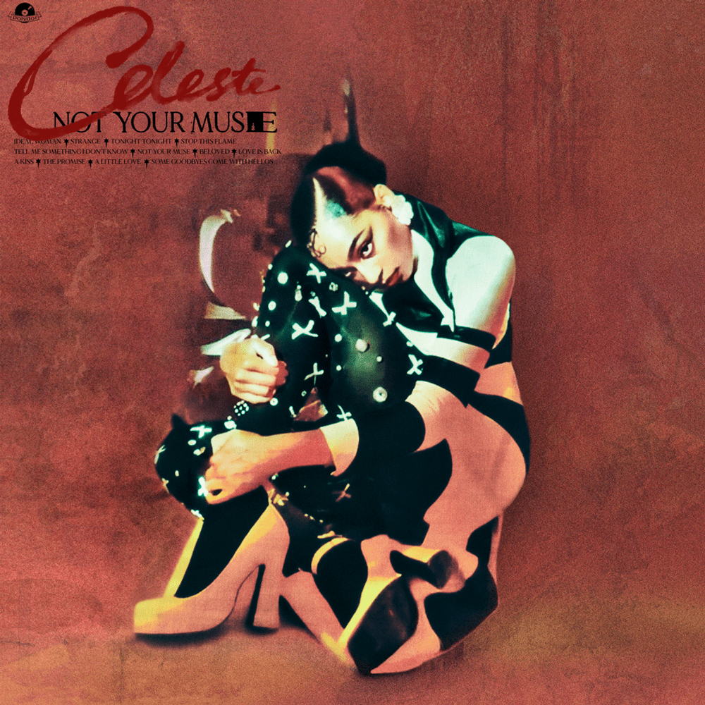 Cover image for Not Your Muse (Japanese Edition)