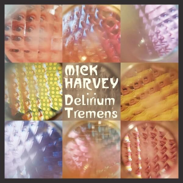Don’t Say A Thing (Ne Dis Rien) by Mick Harvey