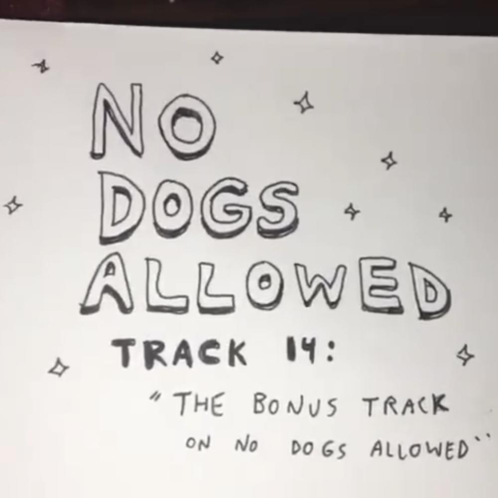 Album cover art for "The Bonus Track On No Dogs Allowed" by Sidney Gish