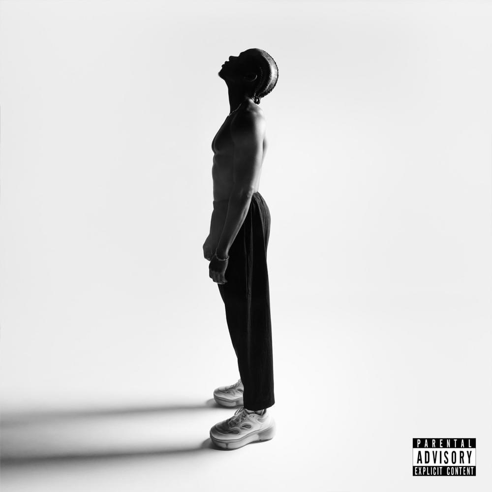 Album cover art for "Meteorite" by tobi lou