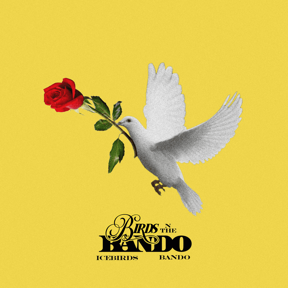 Cover image for Birds N the Bando