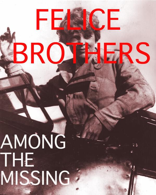 Album cover art for "Among the Missing" by The Felice Brothers