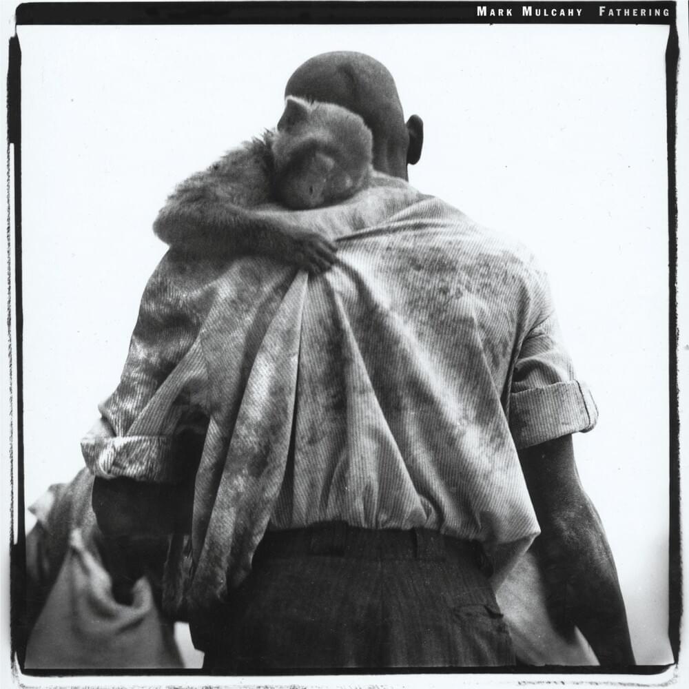 Hey Self Defeater by Mark Mulcahy