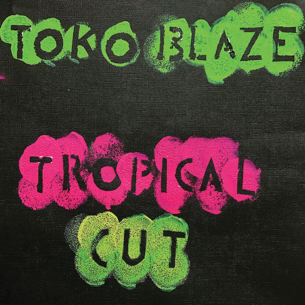 Chanson de merde by Toko Blaze