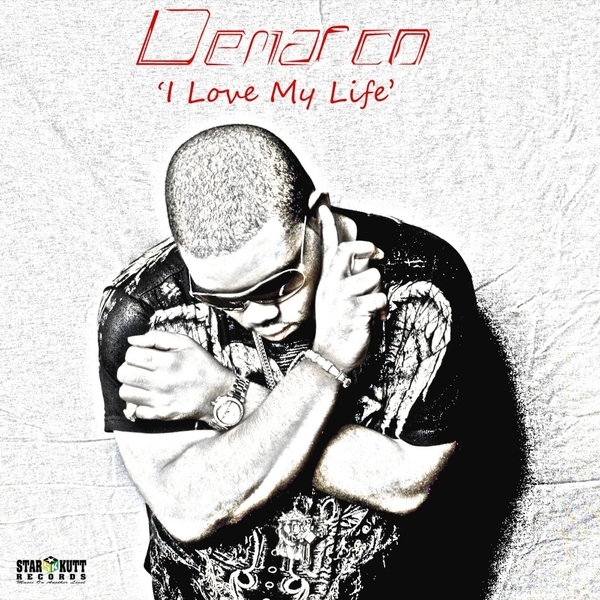 I Love My Life by Demarco