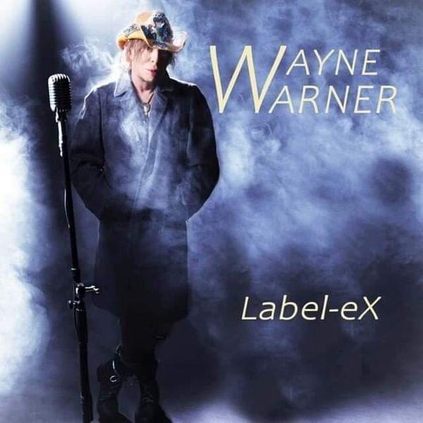 Album cover art for "Welcome To My Dream" by Wayne Warner