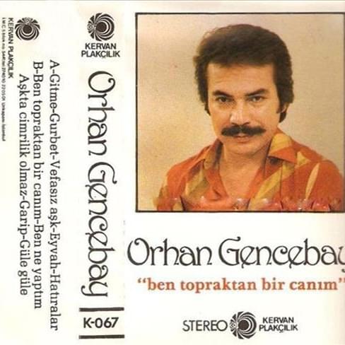 Cover image for Ben Topraktan Bir Canım [Kaset Basım]