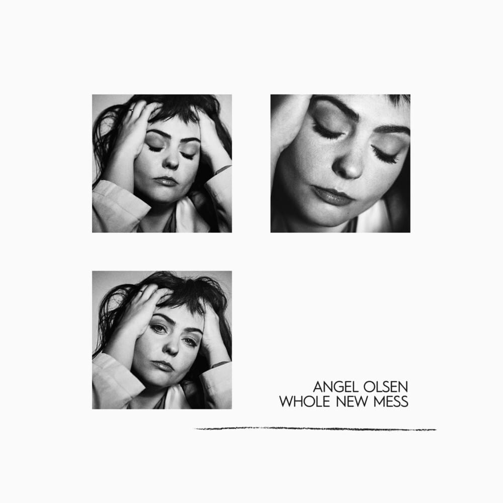 Cover image for Whole New Mess