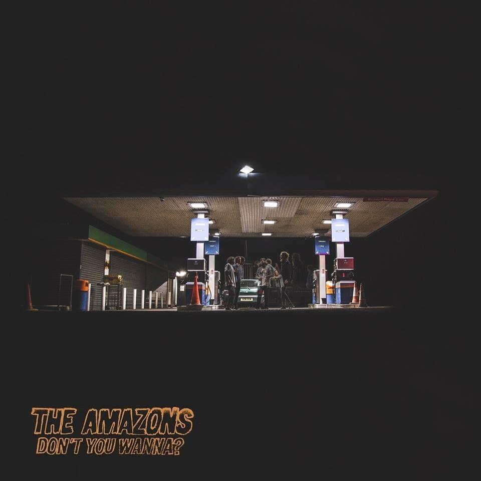 Junk Food Forever by The Amazons