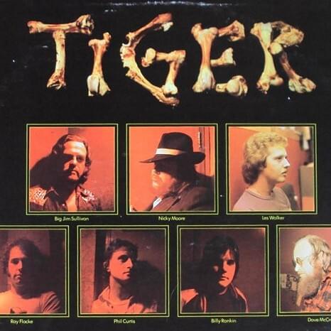 Photo of Tiger