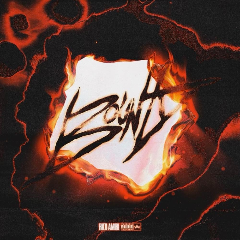 Album cover art for "Bounty" by Rich Amiri
