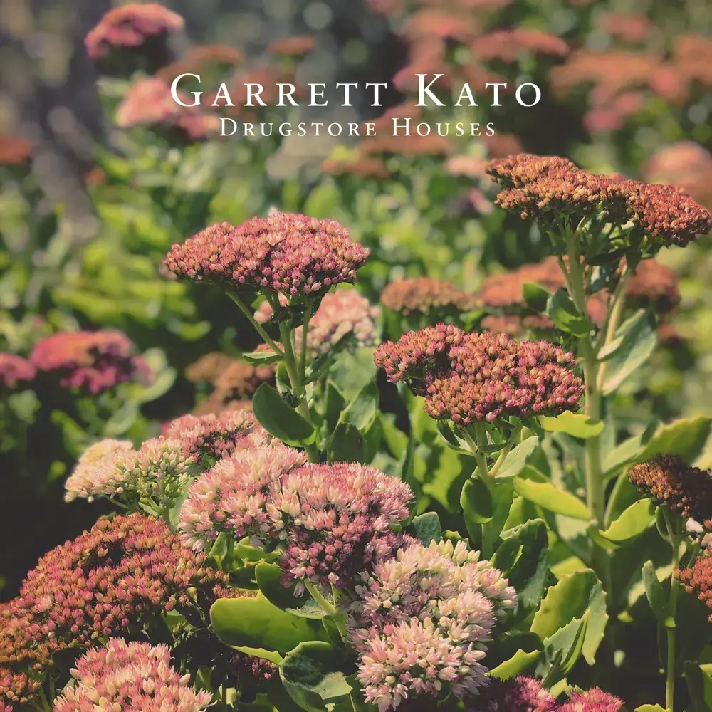 Album cover art for "Drugstore Houses" by Garrett Kato