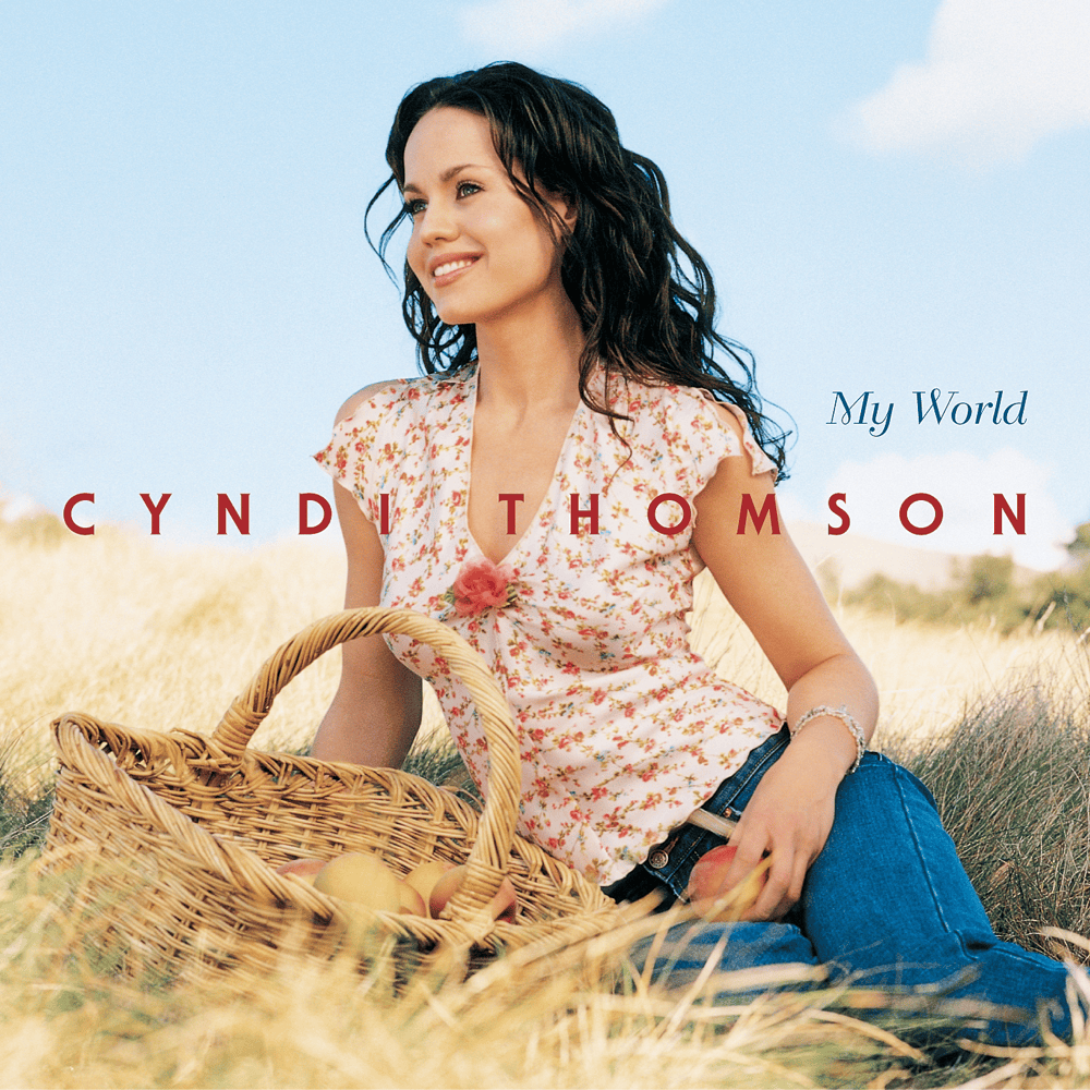 What I Really Meant to Say by Cyndi Thomson