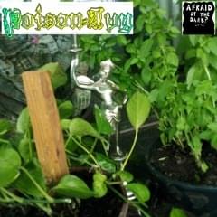 Album cover art for "POISON-IVY" by Afraid of The Dark? & Kylekreepsmeout