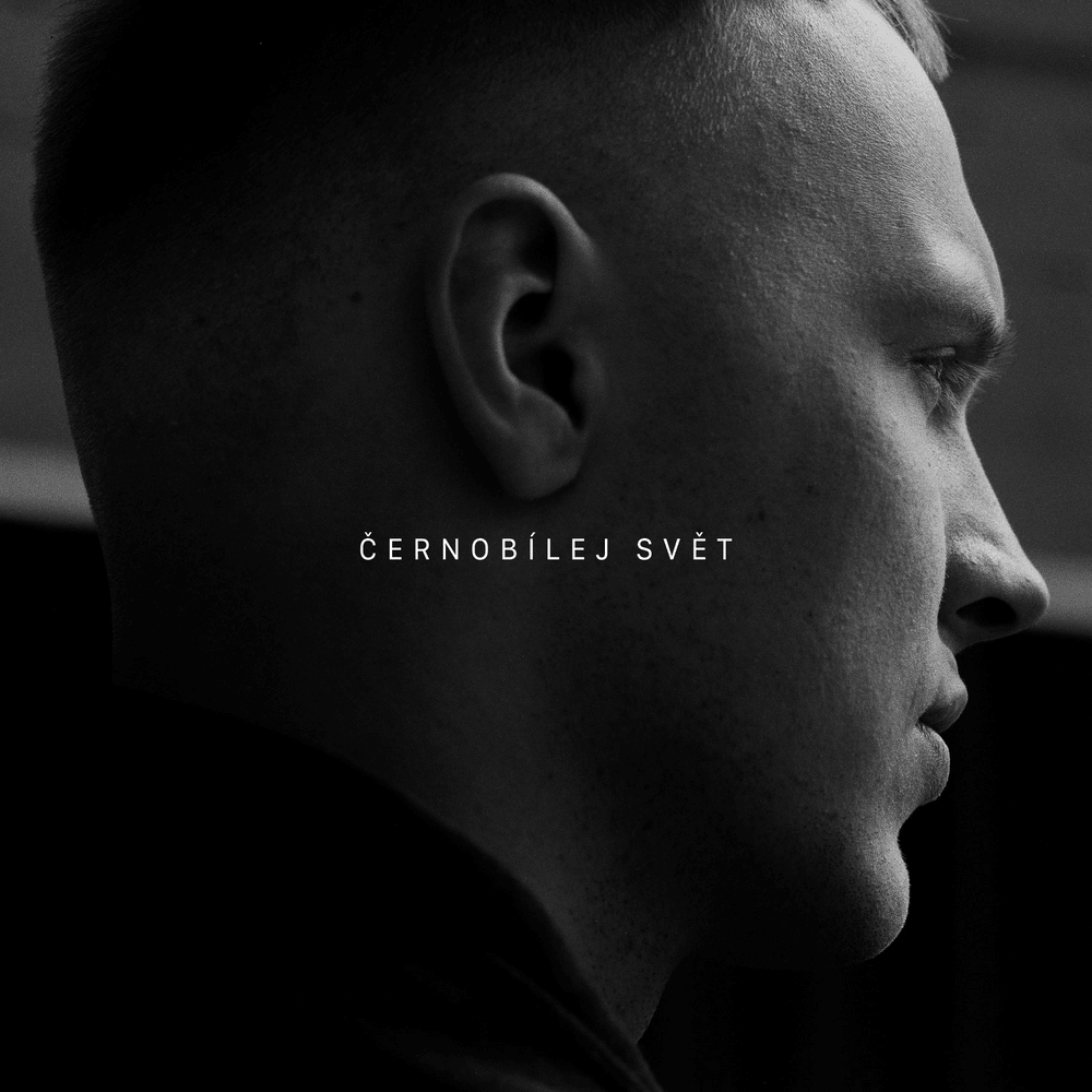 Cover image for Černobílej svět