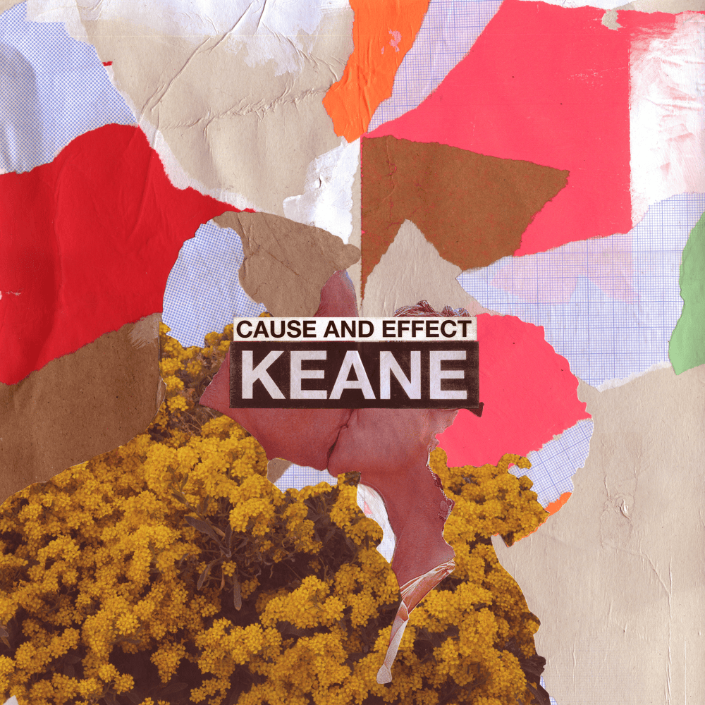 Cover image for Cause and Effect