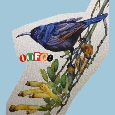 Photo of Oofoe